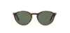 משקפי שמש פרסול PERSOL 0PO3092SM 901531 50