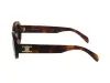 משקפי שמש סלין CELINE cel-40194u-53a	