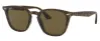 משקפי שמש רייבן RAY BAN