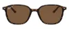 משקפי שמש רייבן RAY BAN