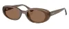 משקפי שמש רייבן RAY BAN