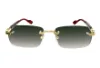משקפי שמש גוצ'י GUCCI
