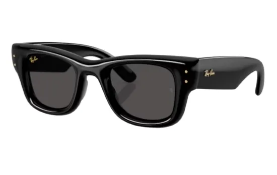 משקפי שמש רייבן RAY BAN