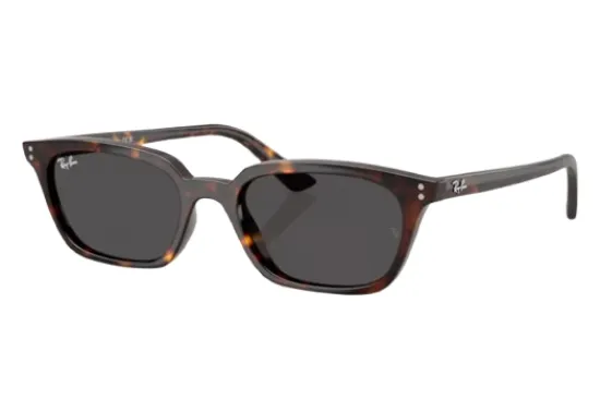 משקפי שמש רייבן RAY BAN