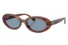 משקפי שמש רייבן RAY BAN